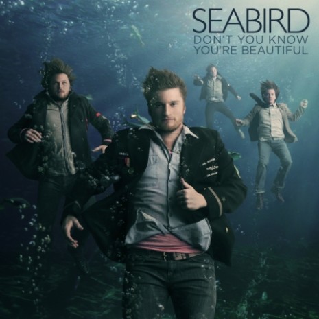 Seabird Single Cover