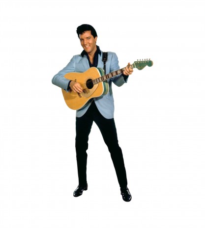 Fender Elvis Presley#441898
